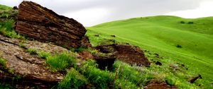 Preview wallpaper tree, fragments, field, meadow, green