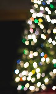 Preview wallpaper tree, garland, bokeh, lights, blur