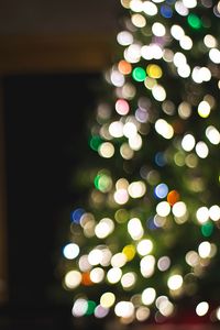 Preview wallpaper tree, garland, bokeh, lights, blur