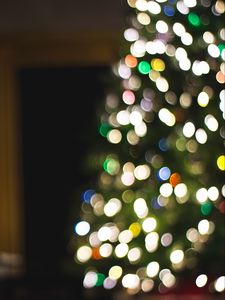 Preview wallpaper tree, garland, bokeh, lights, blur