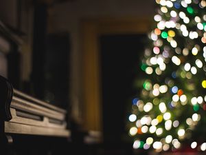 Preview wallpaper tree, garland, bokeh, lights, blur