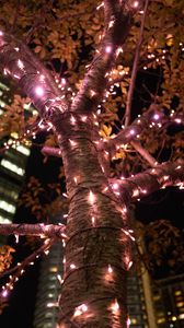Preview wallpaper tree, garland, illumination, decoration, light