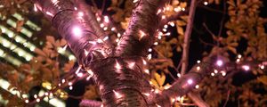 Preview wallpaper tree, garland, illumination, decoration, light