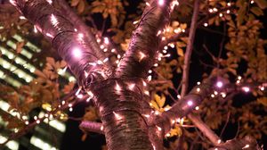 Preview wallpaper tree, garland, illumination, decoration, light