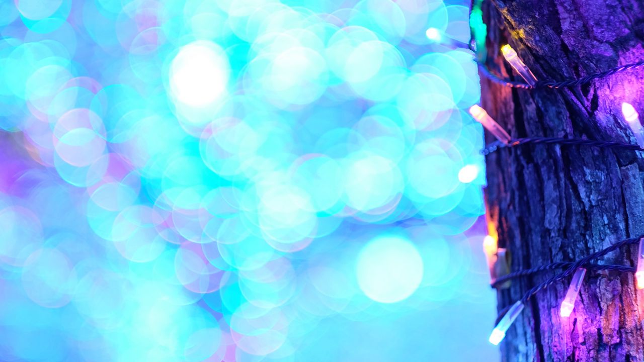 Wallpaper tree, garland, lights, bokeh, blur