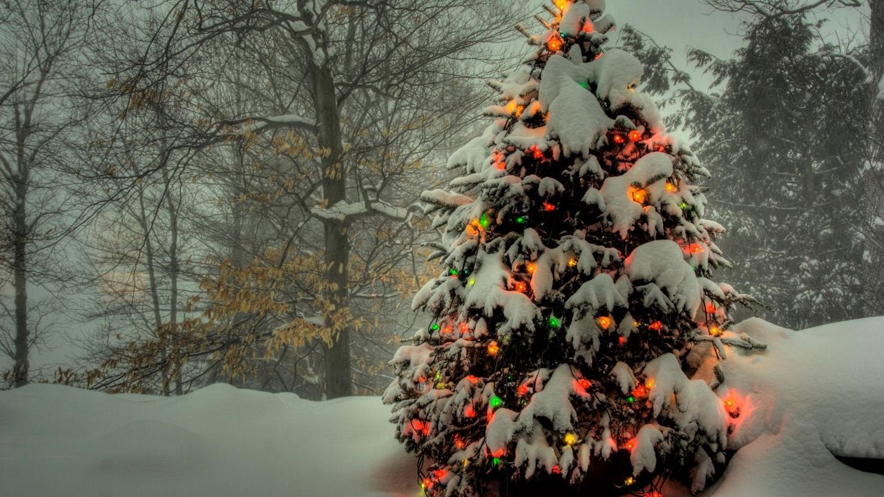Wallpaper tree, garland, new year, christmas, trees, snow, winter, holiday