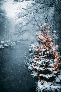 Preview wallpaper tree, garland, snow, winter, new year