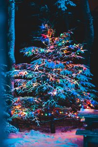 Preview wallpaper tree, garland, snow, new year, christmas