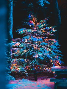 Preview wallpaper tree, garland, snow, new year, christmas