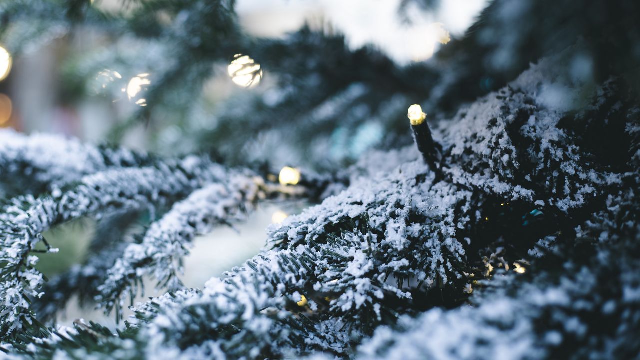 Wallpaper tree, garland, snow, new year, winter hd, picture, image