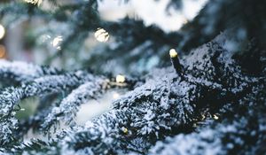 Preview wallpaper tree, garland, snow, new year, winter