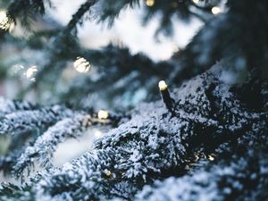 Preview wallpaper tree, garland, snow, new year, winter
