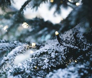 Preview wallpaper tree, garland, snow, new year, winter