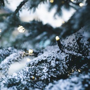 Preview wallpaper tree, garland, snow, new year, winter