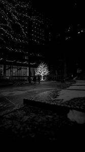 Preview wallpaper tree, glow, bw, street, dark