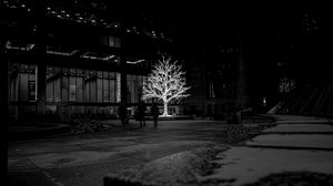 Preview wallpaper tree, glow, bw, street, dark