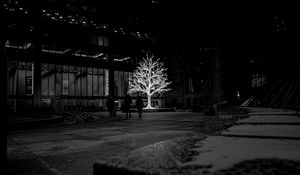 Preview wallpaper tree, glow, bw, street, dark