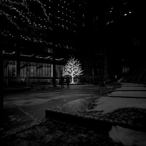 Preview wallpaper tree, glow, bw, street, dark