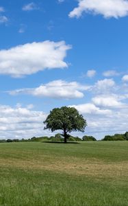 Preview wallpaper tree, grass, field, sky