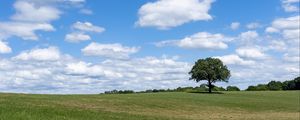 Preview wallpaper tree, grass, field, sky