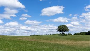Preview wallpaper tree, grass, field, sky