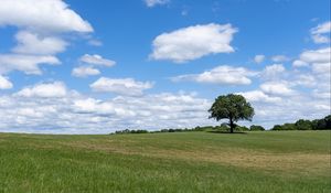 Preview wallpaper tree, grass, field, sky