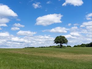 Preview wallpaper tree, grass, field, sky