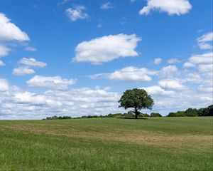 Preview wallpaper tree, grass, field, sky