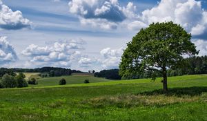 Preview wallpaper tree, grass, field, clouds, sky