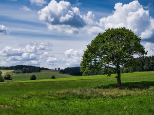 Preview wallpaper tree, grass, field, clouds, sky
