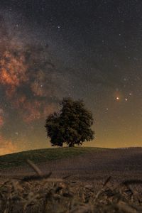 Preview wallpaper tree, grass, milky way, night, stars