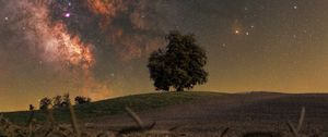Preview wallpaper tree, grass, milky way, night, stars