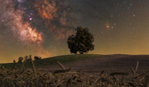 Preview wallpaper tree, grass, milky way, night, stars