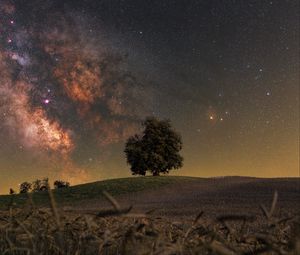 Preview wallpaper tree, grass, milky way, night, stars