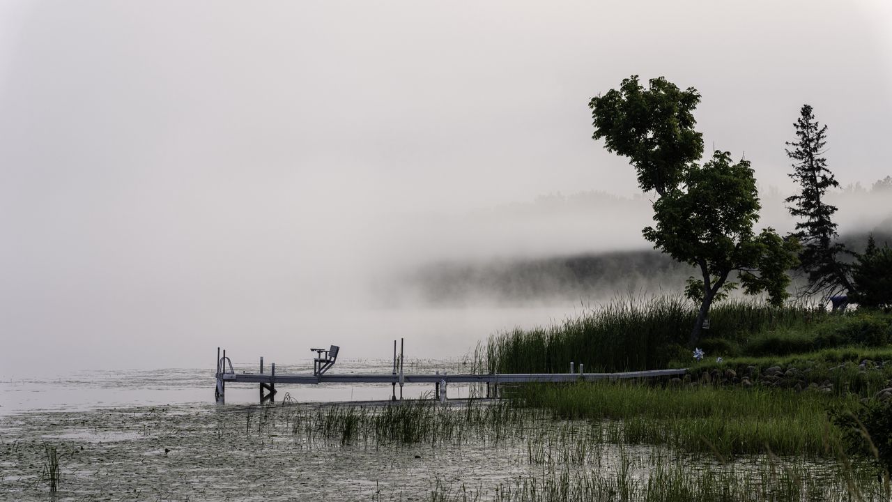 Wallpaper tree, grass, pier, lake, fog