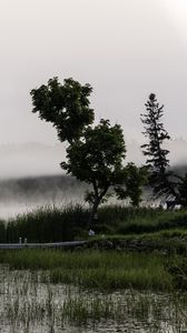 Preview wallpaper tree, grass, pier, lake, fog