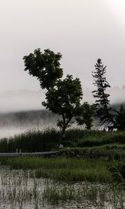 Preview wallpaper tree, grass, pier, lake, fog