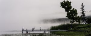 Preview wallpaper tree, grass, pier, lake, fog