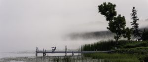 Preview wallpaper tree, grass, pier, lake, fog