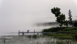 Preview wallpaper tree, grass, pier, lake, fog