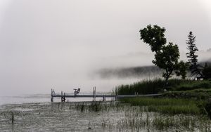 Preview wallpaper tree, grass, pier, lake, fog