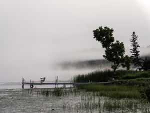 Preview wallpaper tree, grass, pier, lake, fog