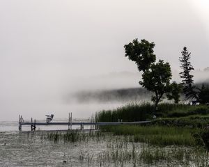 Preview wallpaper tree, grass, pier, lake, fog