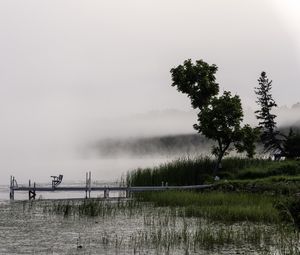 Preview wallpaper tree, grass, pier, lake, fog