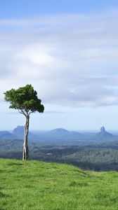 Preview wallpaper tree, grass, rocks, hills