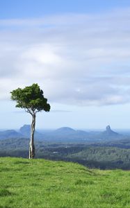 Preview wallpaper tree, grass, rocks, hills