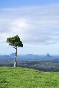 Preview wallpaper tree, grass, rocks, hills