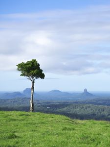 Preview wallpaper tree, grass, rocks, hills