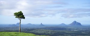 Preview wallpaper tree, grass, rocks, hills
