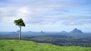 Preview wallpaper tree, grass, rocks, hills